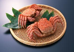 試食会のシーズニングのセミナー