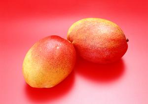 居酒家 土間土間 横浜駅前店 – おしゃれでくつろぎの居酒屋