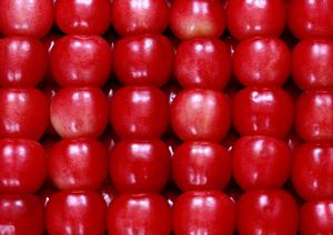 恵比寿で見つける絶品和食：2026年最新おすすめガイド